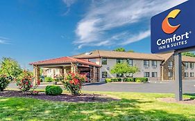 Comfort Inn & Suites West Springfield